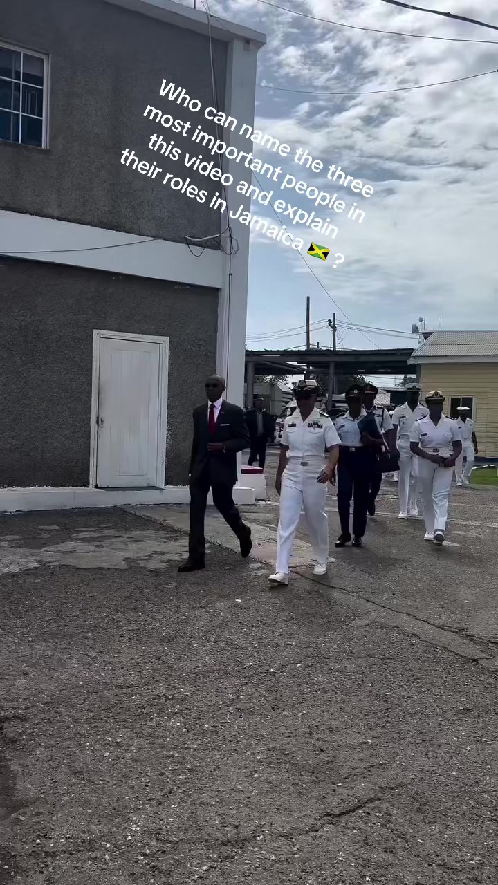 @FOR🐊AMUSEMENT🇯🇲ONLY🐊