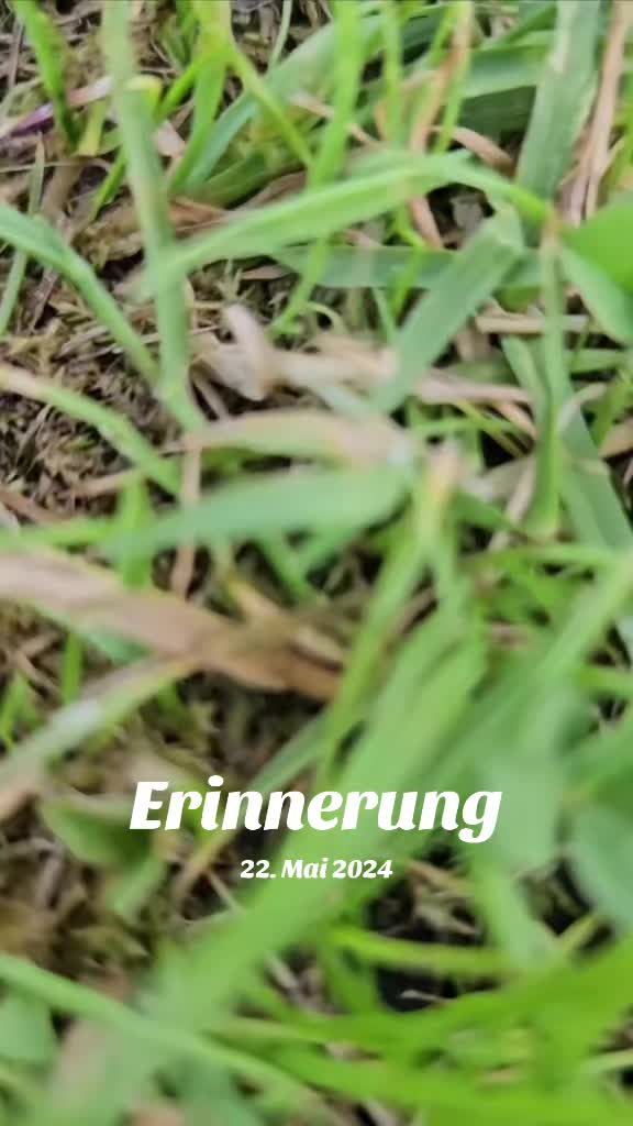 @schmuckstein