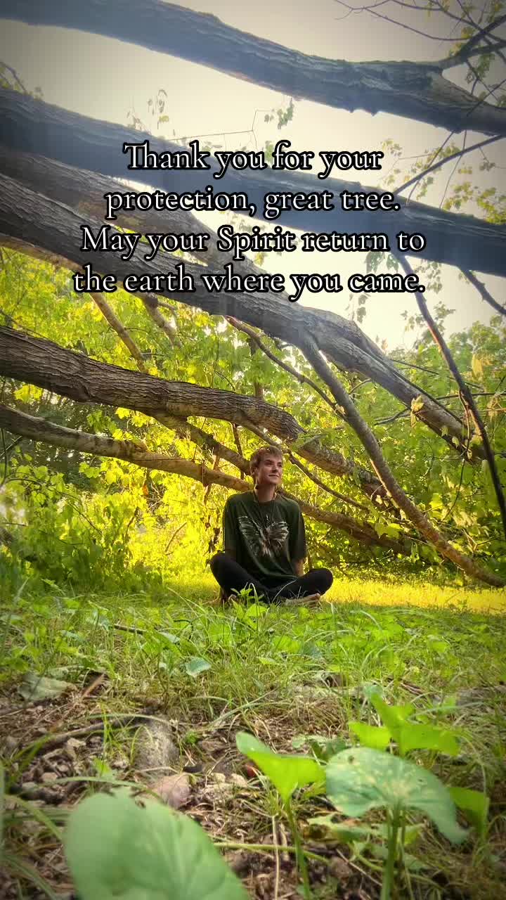 @🍄🟫🍁Sunshine_Hobbit🍁🍄🟫