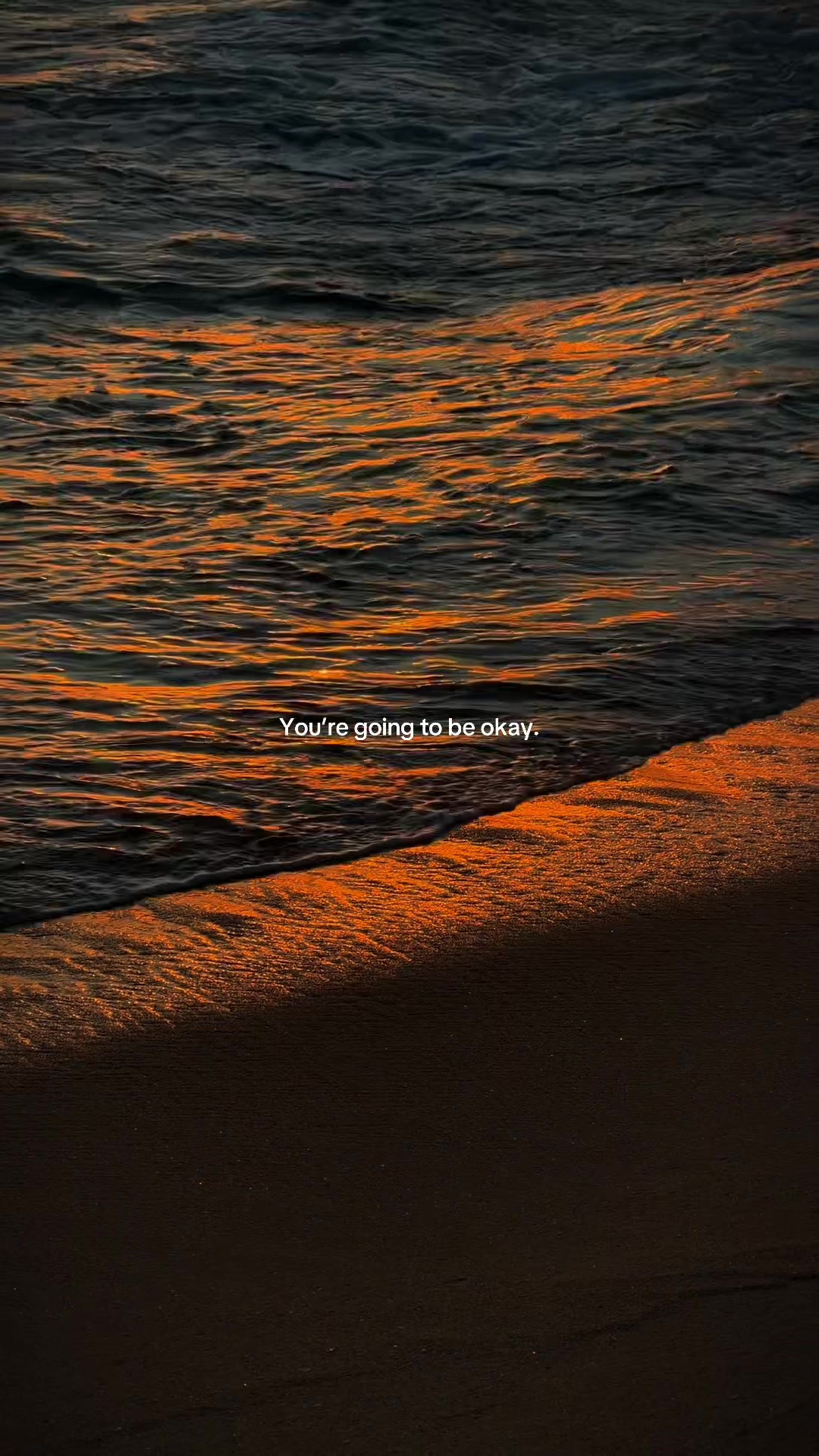 @Amy-Rose