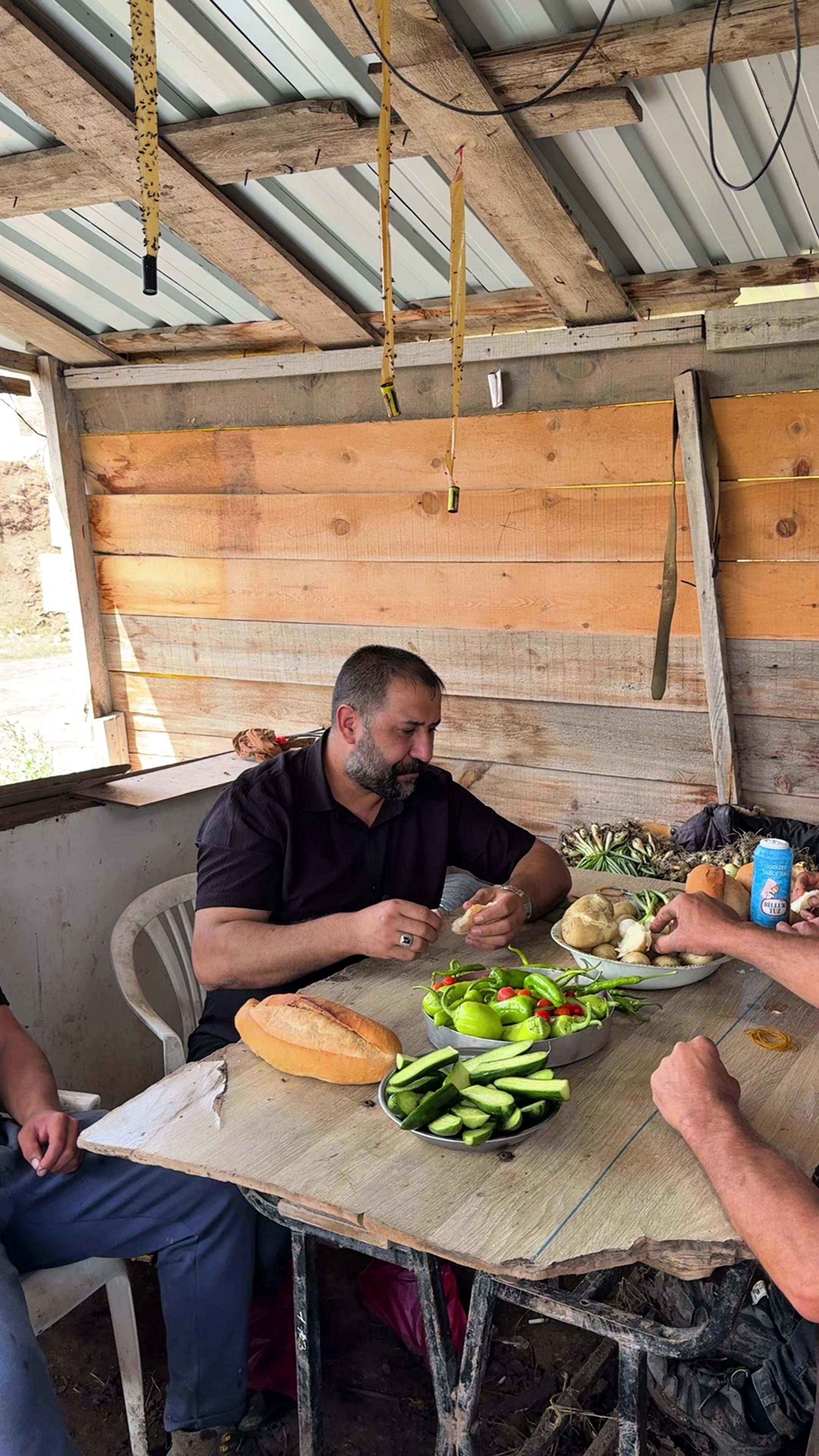 @Selçuk Daşdemir