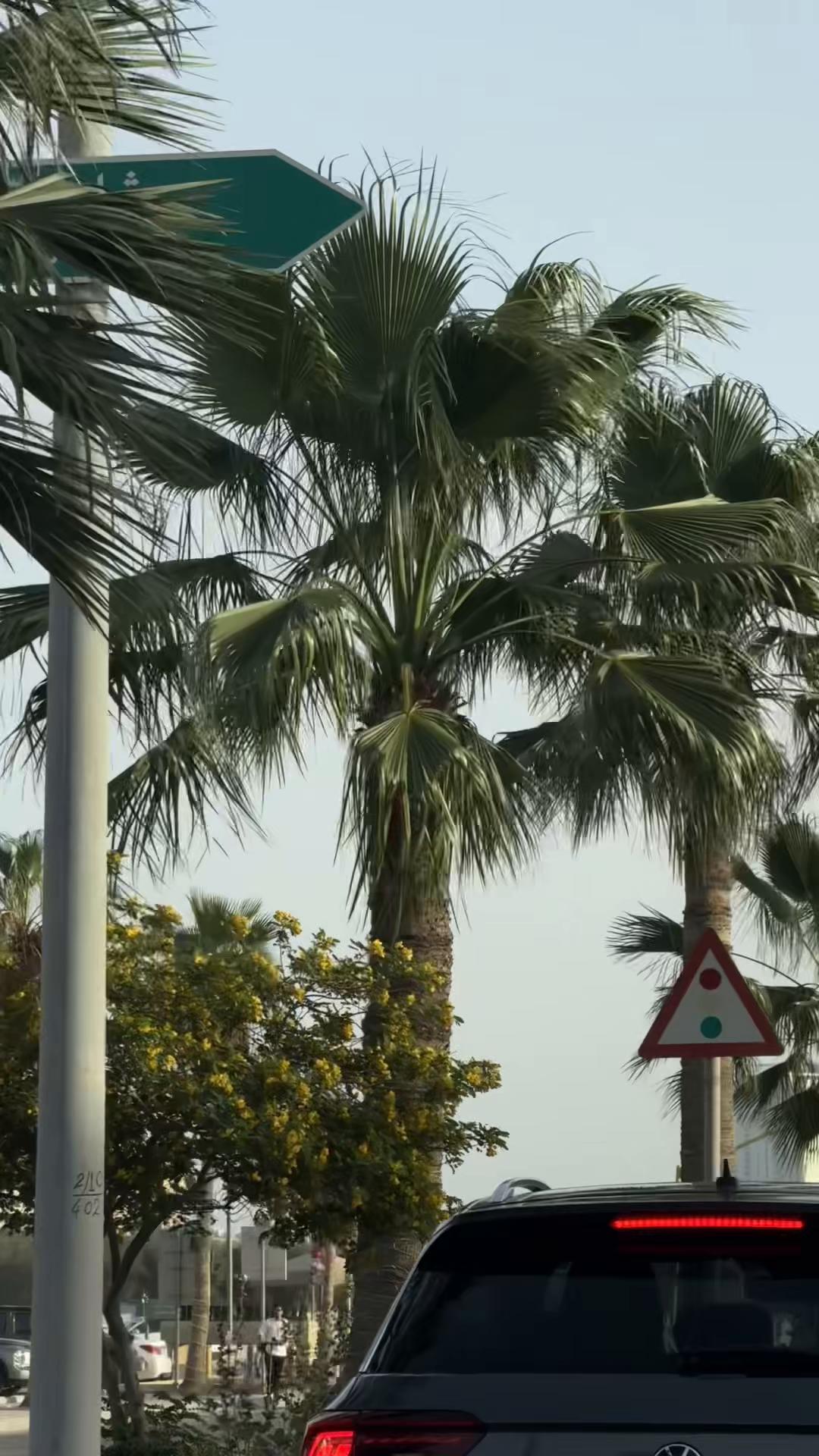 @جـيـم ..