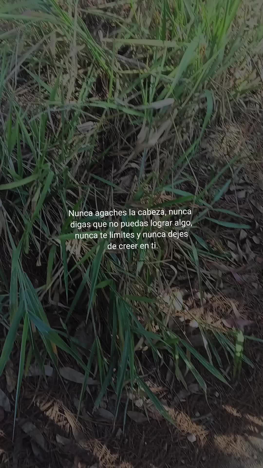@jose_David