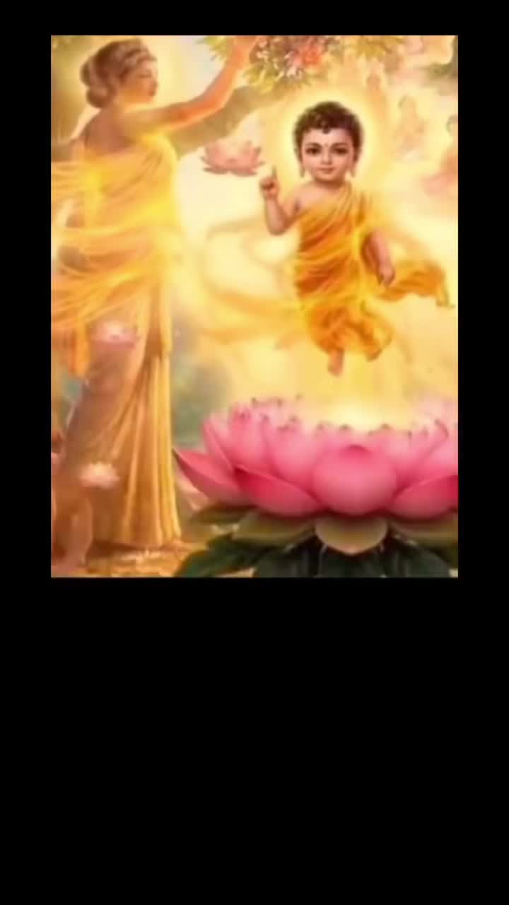 @Nguyen Tran