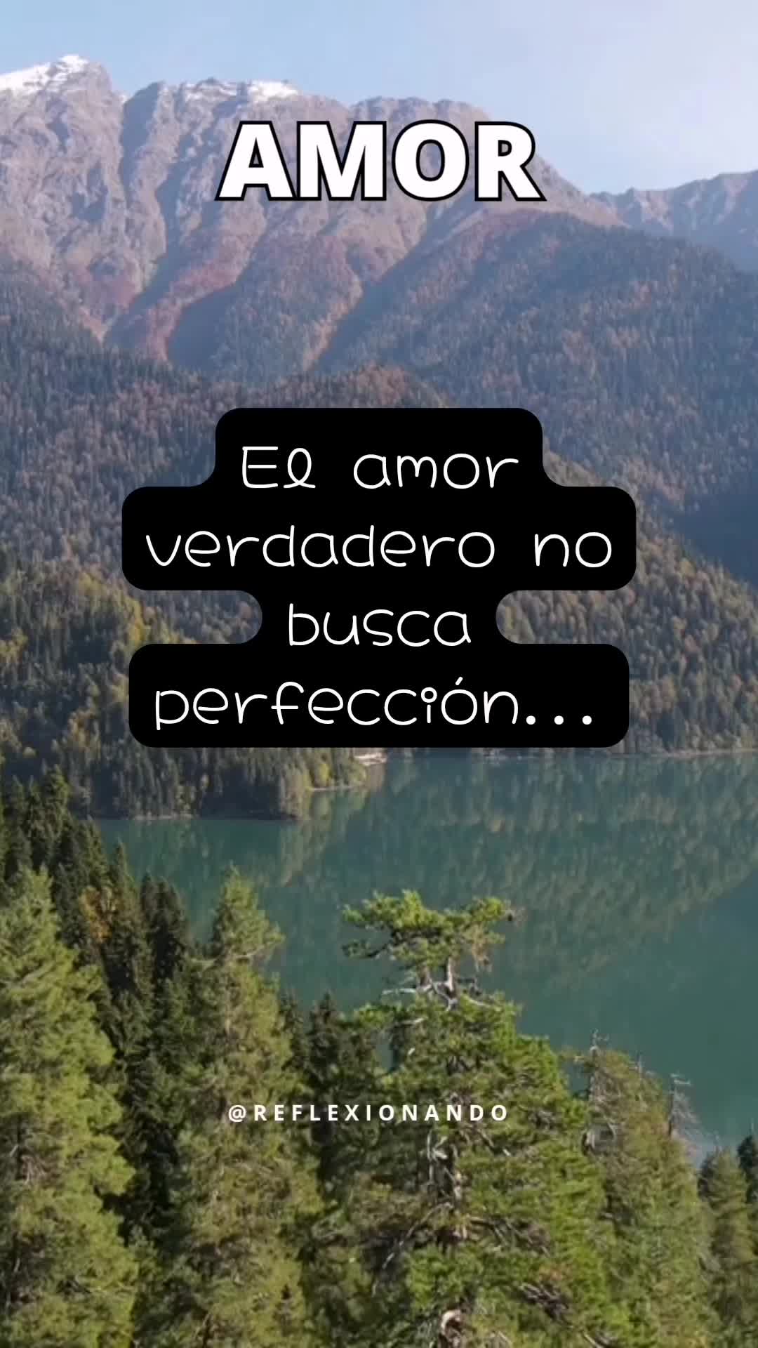 @ReflexionAndo