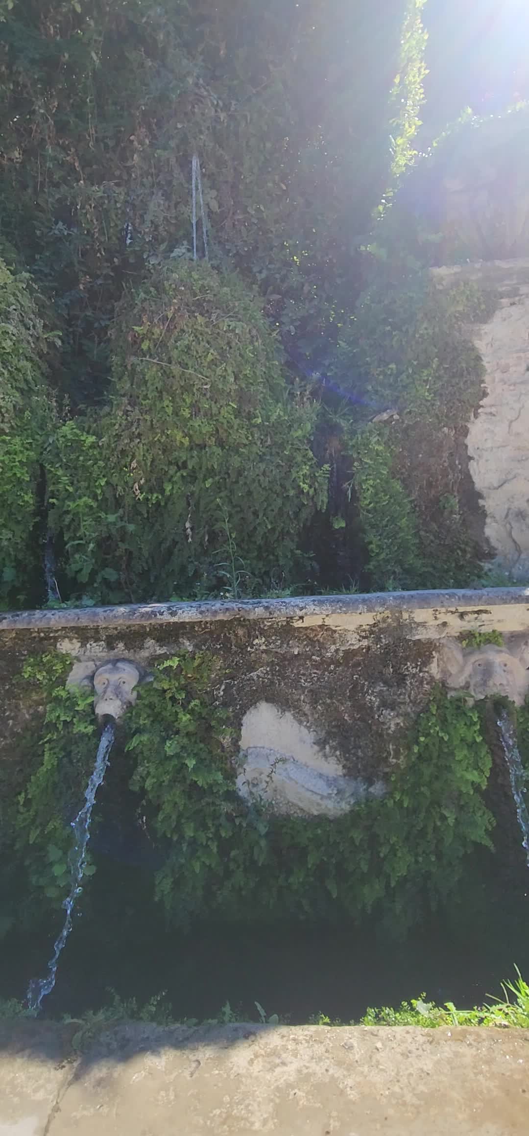 @mariolanu0