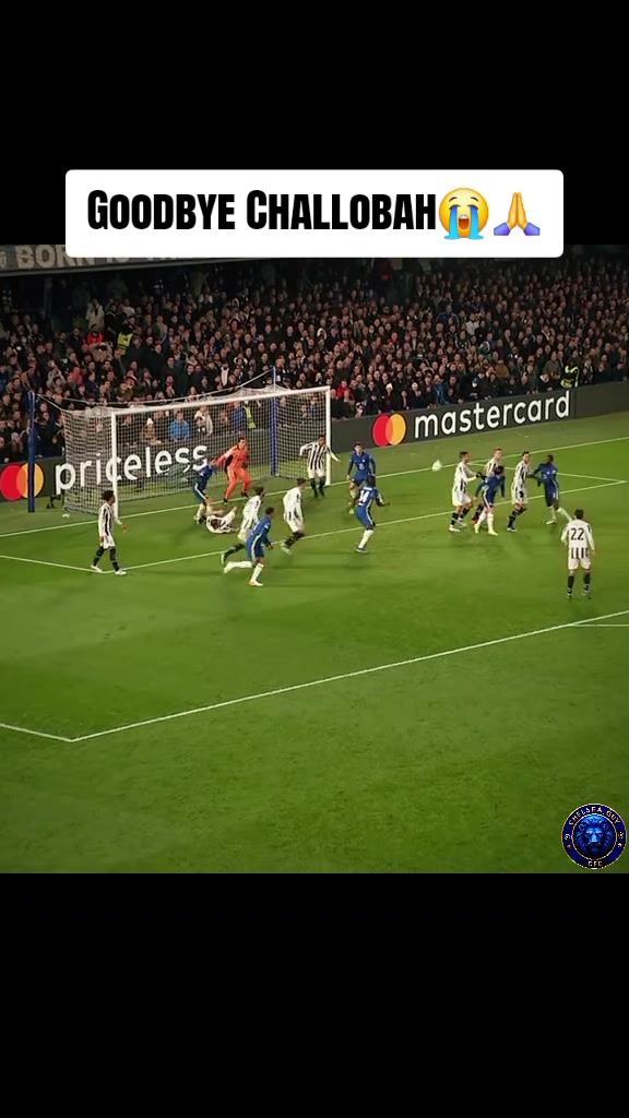 @Chelsea_guy | CFC 💙