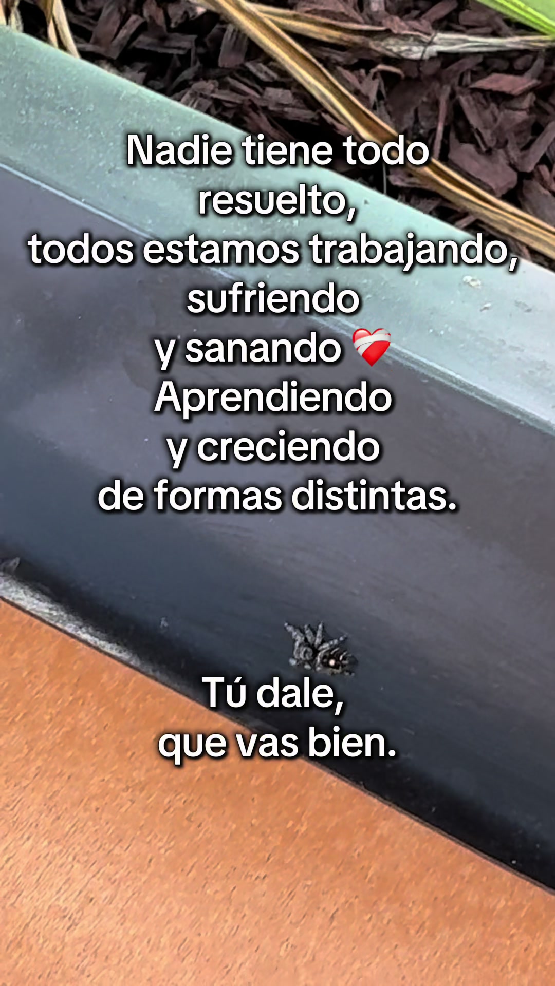 @Alepg