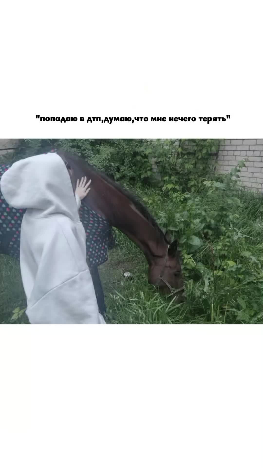 @анчапа