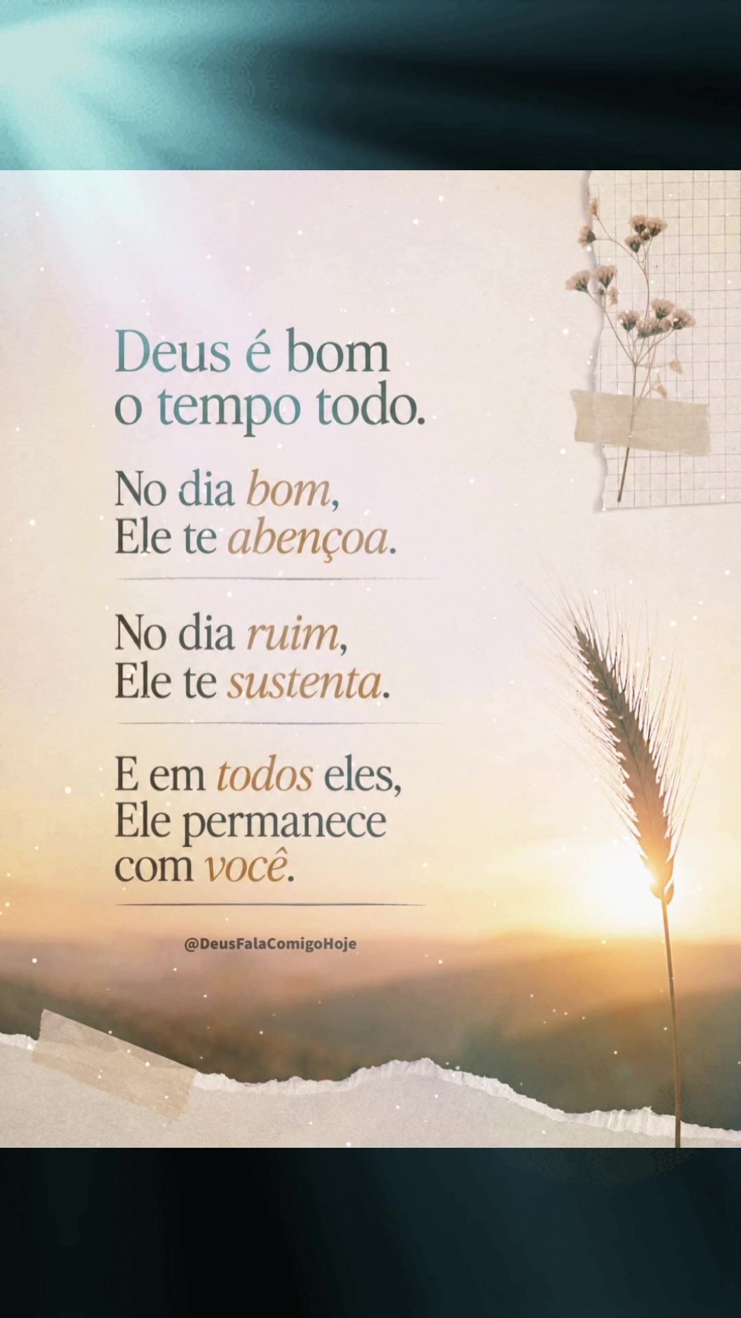 @Maria Lourdes