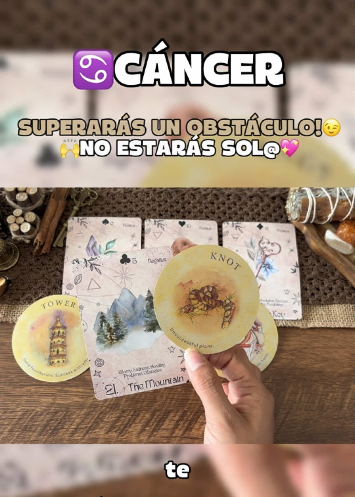 @Andy Sun Tarot ☀️
