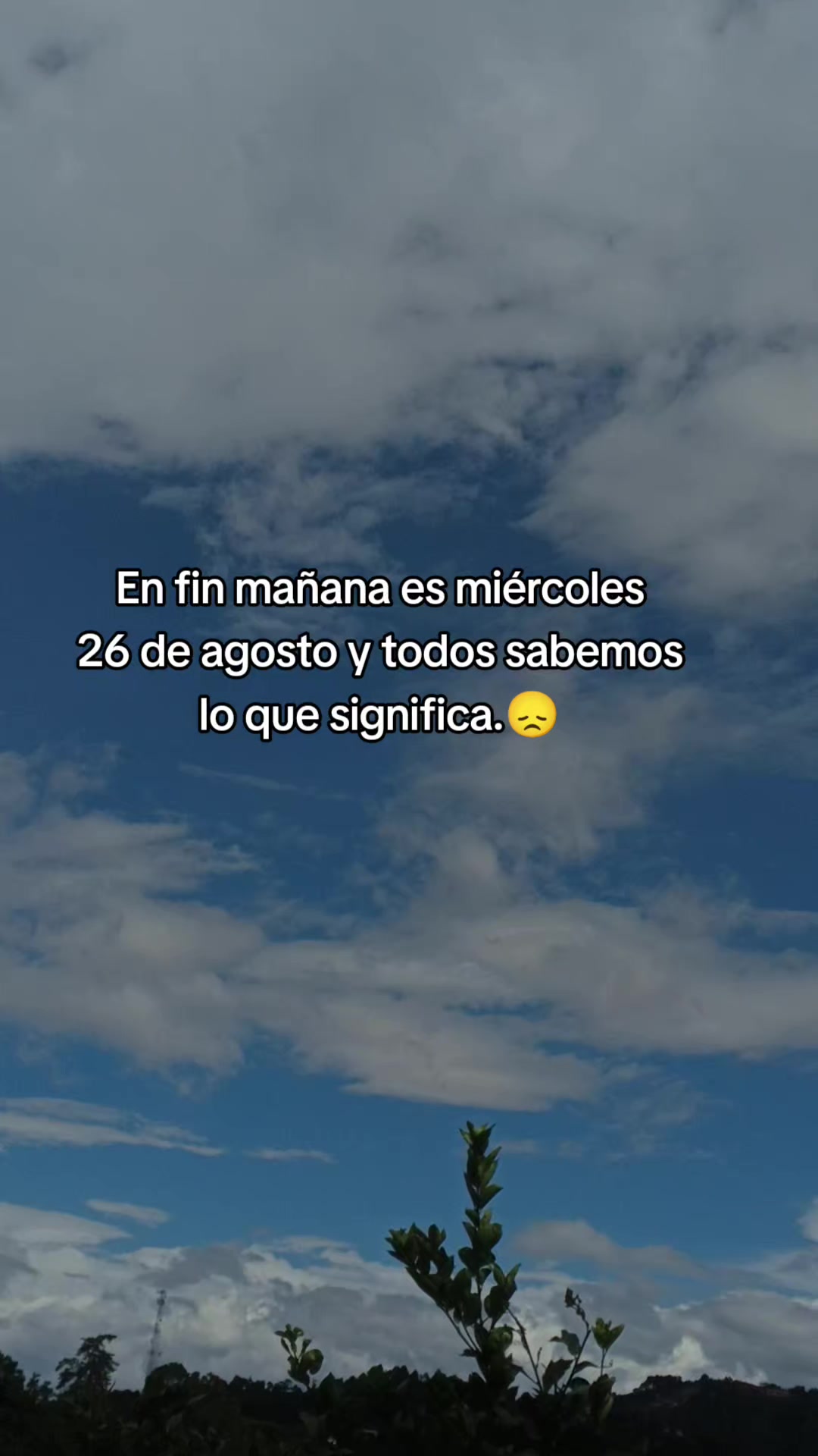 @@flaquito_071