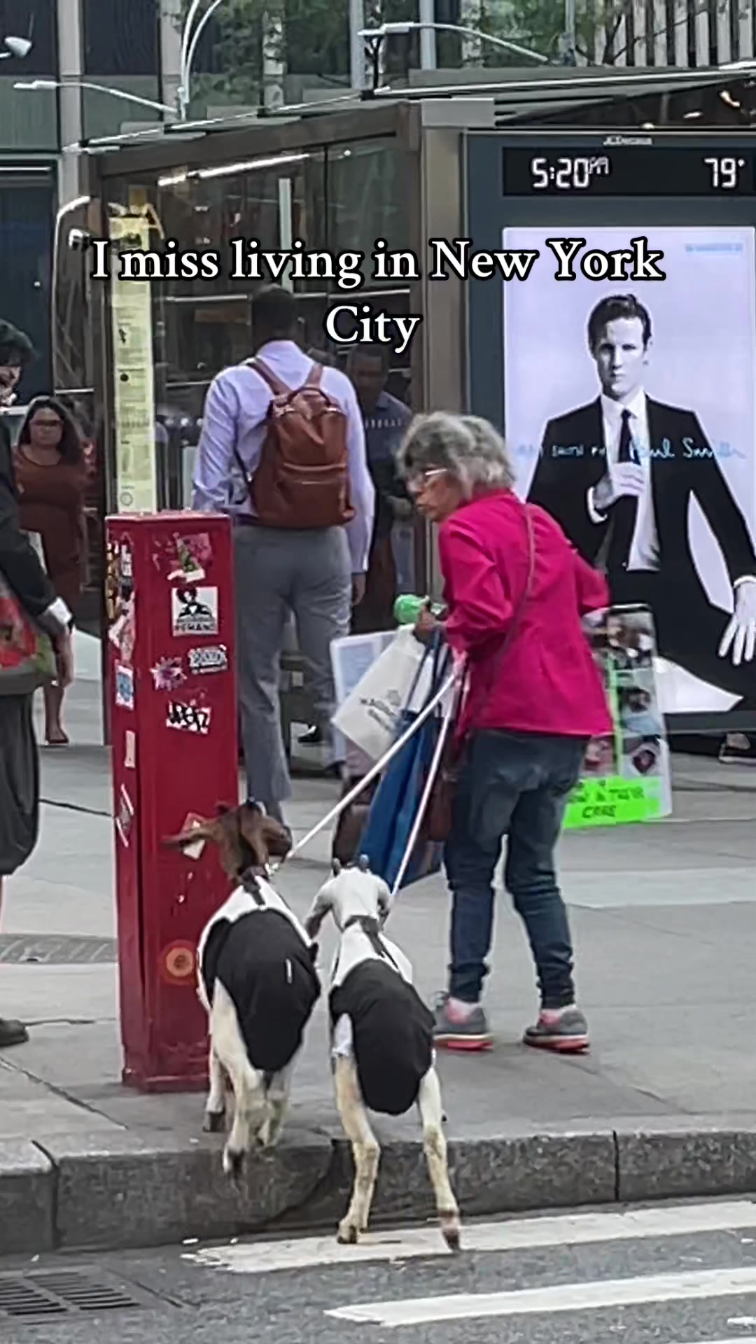 @lucamolina189