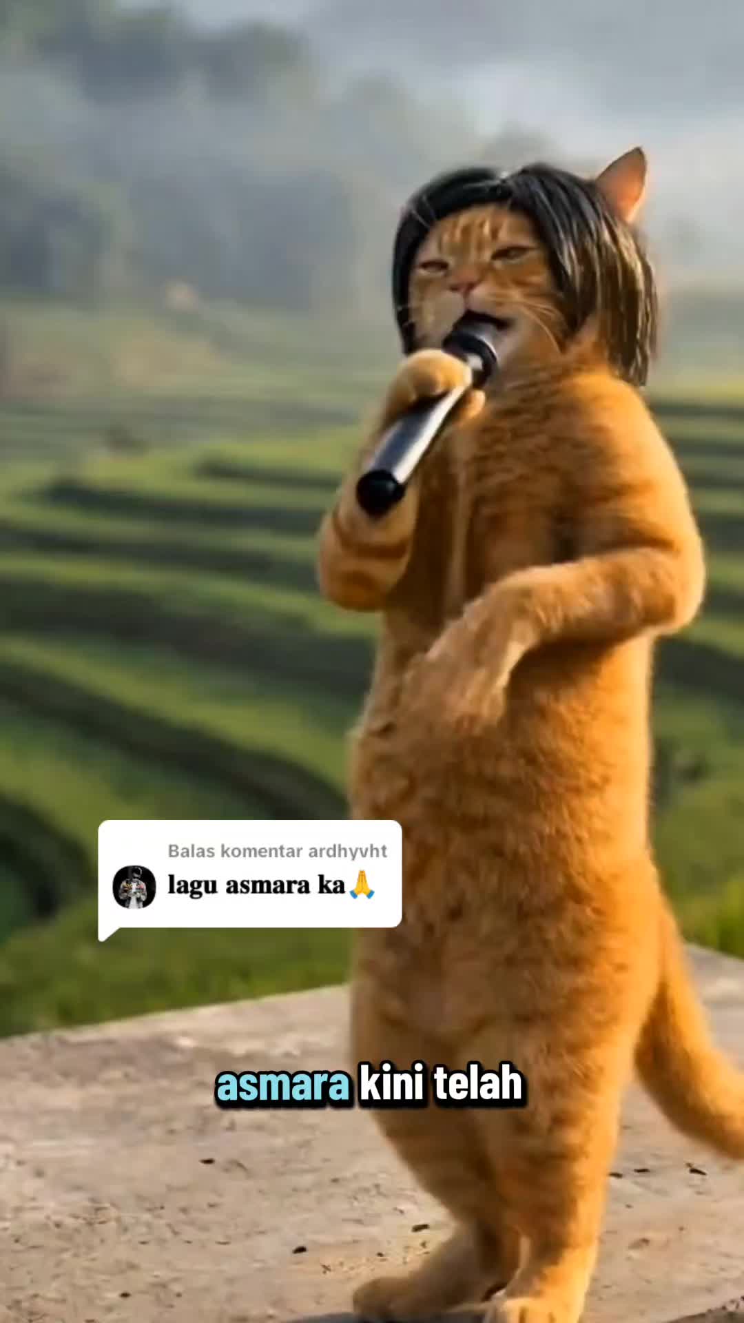 @Anibanis