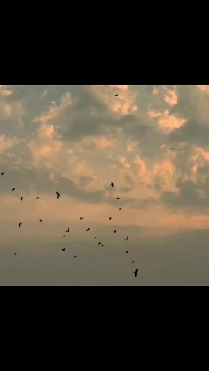 @ᦓꪀꫀꫝꪖ