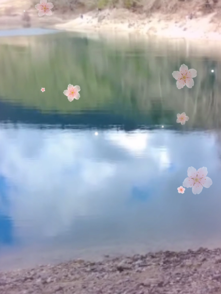 @𝓡𝓪𝓬𝓱𝓮𝓵♡⚡️🖌🎧