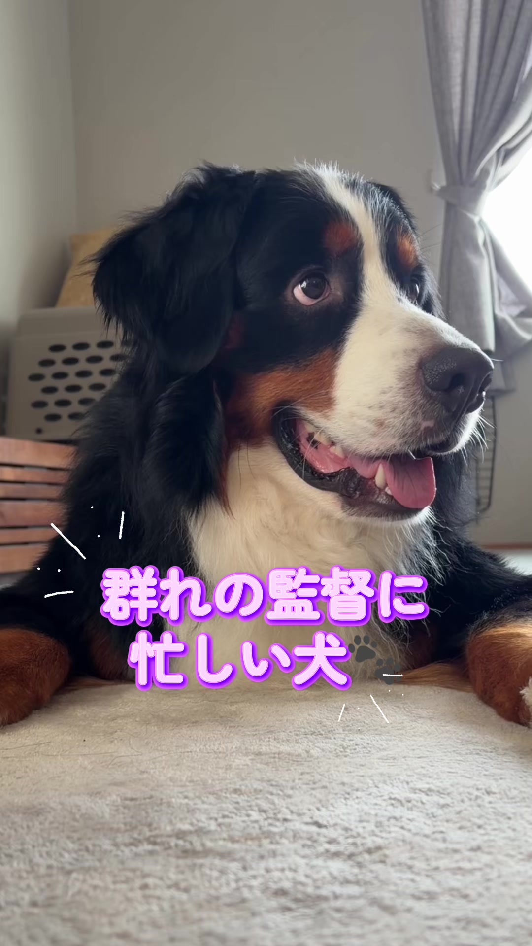 @å¯å£«å±±ð¶ð»ããŒããŒãºããŠã³ãã³ããã° - Fujisan