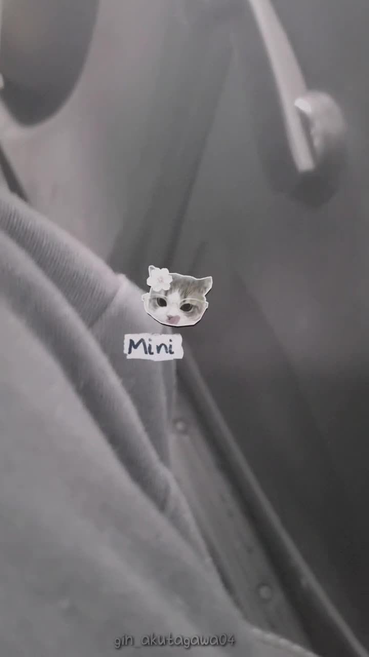 @𝚀𝚞𝚛𝚘𝚗