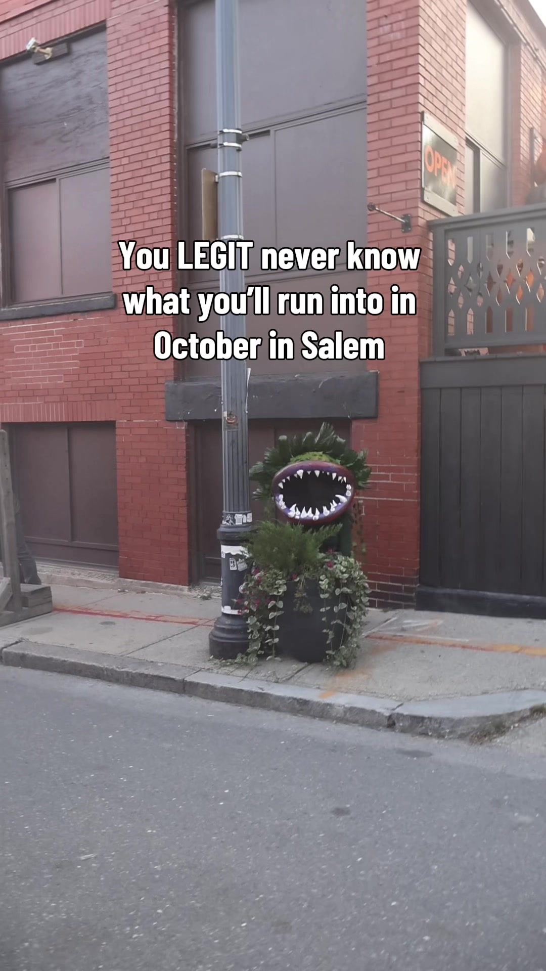 @salemhauntedneighborhood