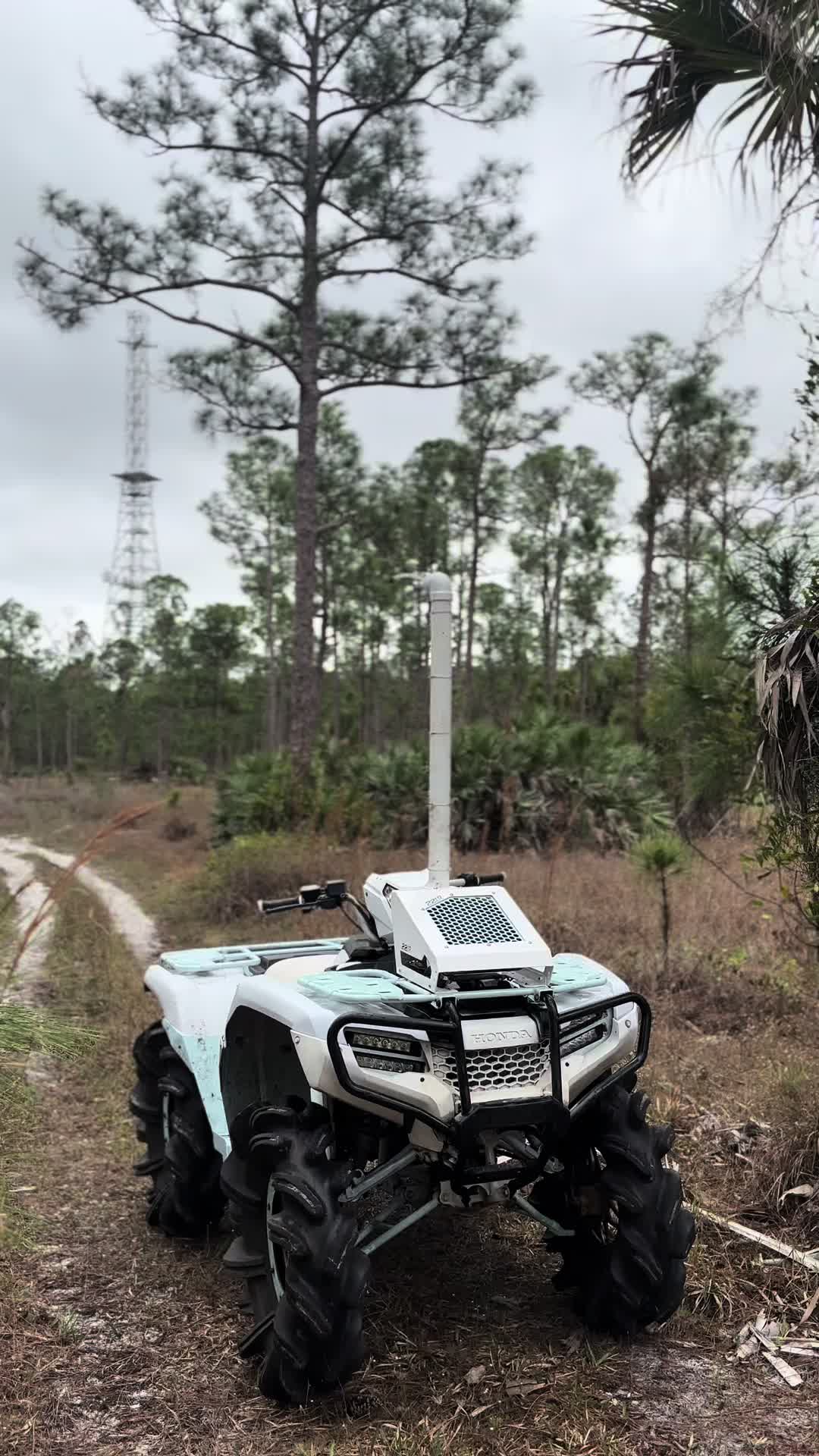 @fl_liam2