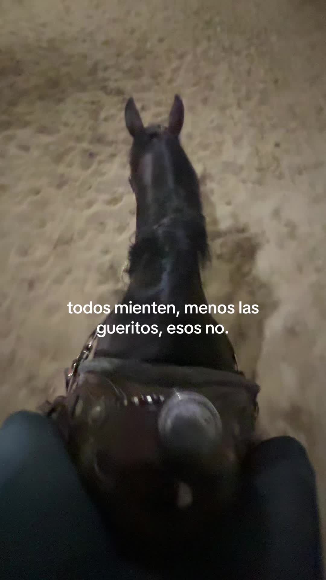@bretane🇨🇴