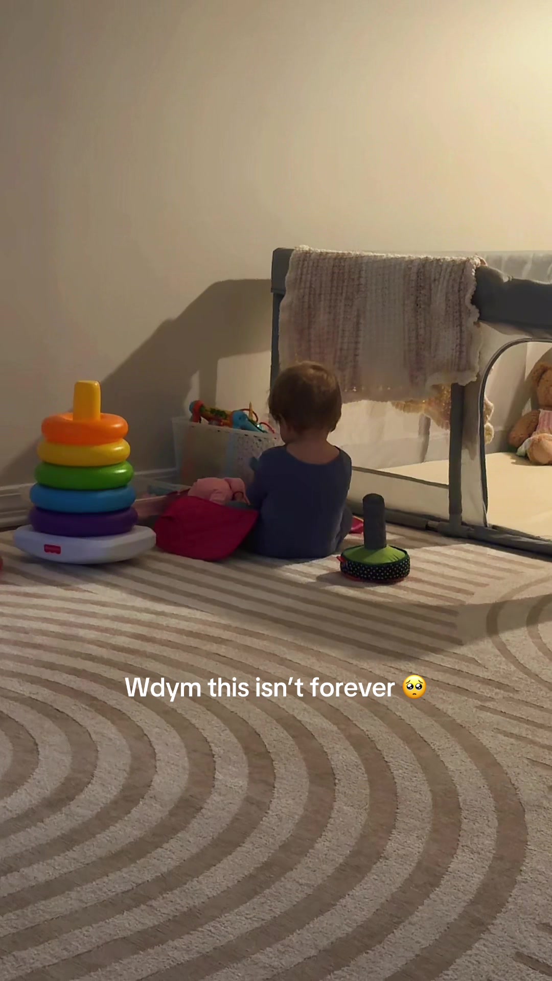 @ally pisarek | sahm
