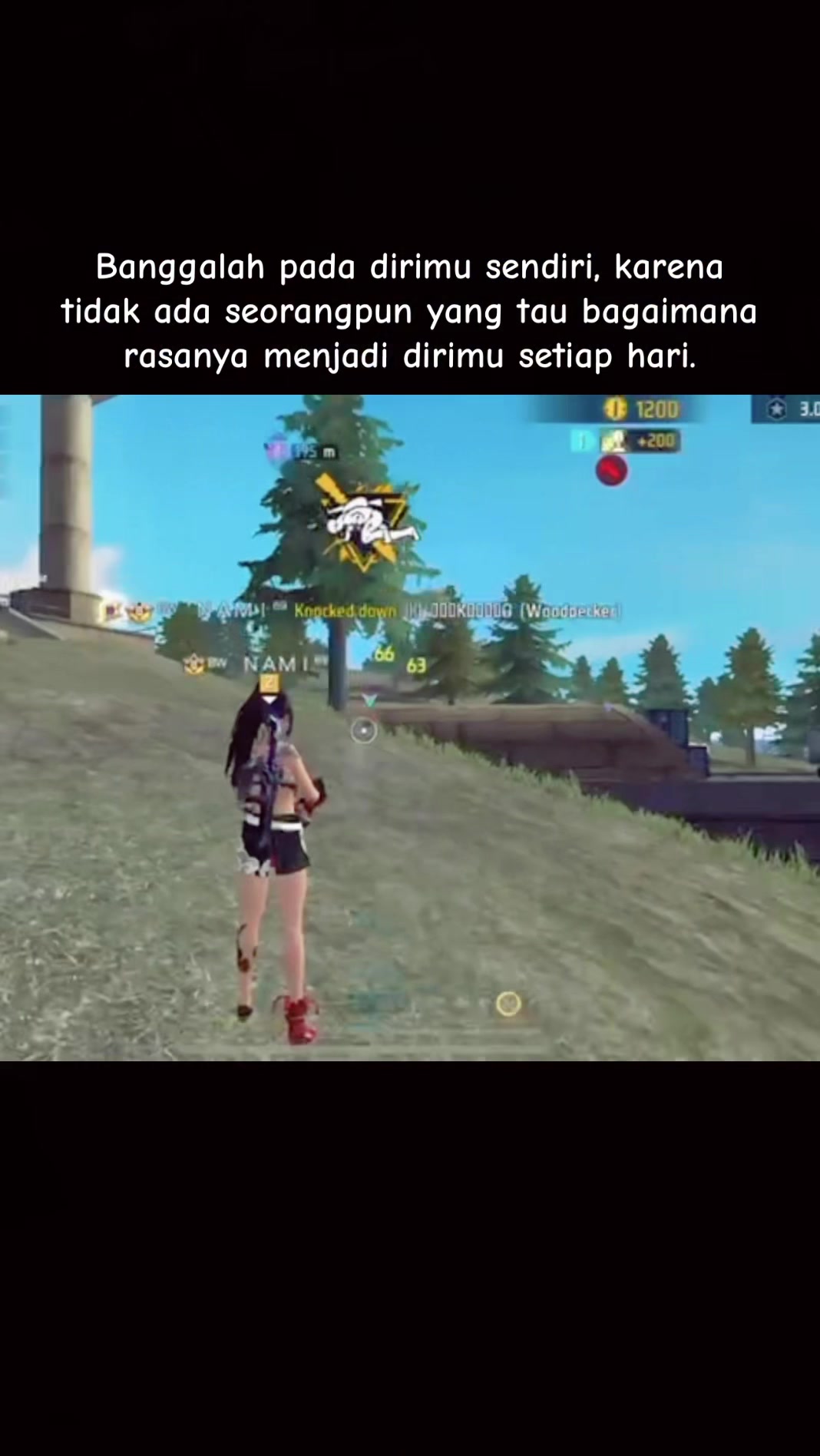 @nami696.ff