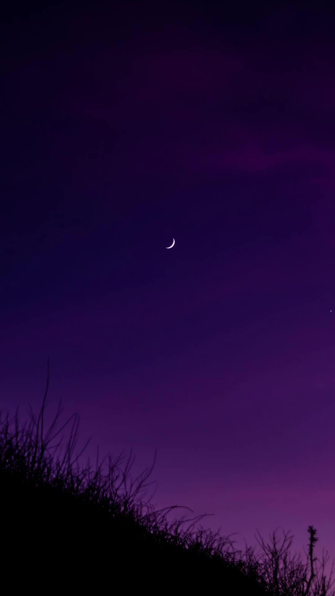 @💜🍄➺KΛTRIИA💜➺KHAOϟ➺🍄💜