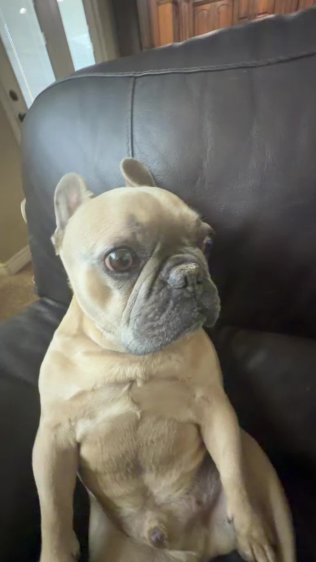 @bentleytheg0at