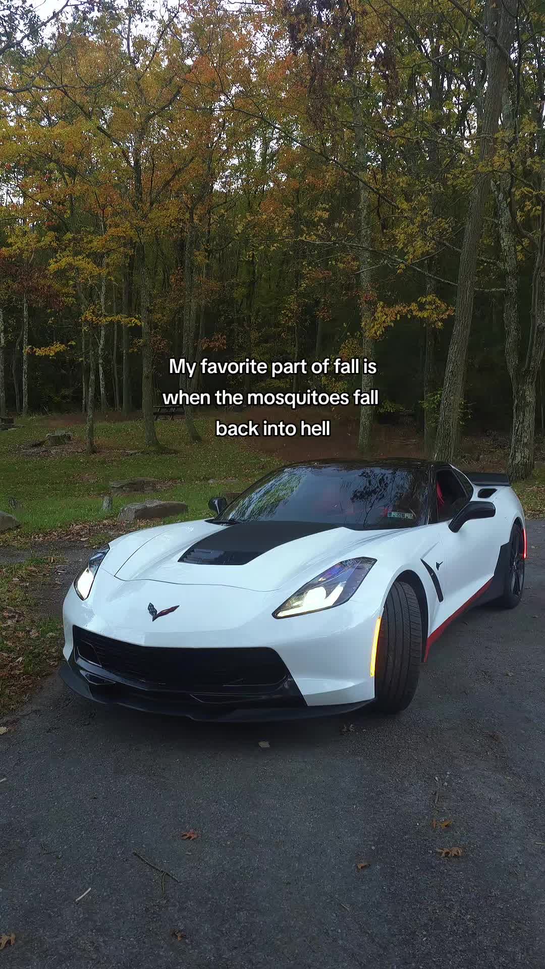 @z51_Thomas