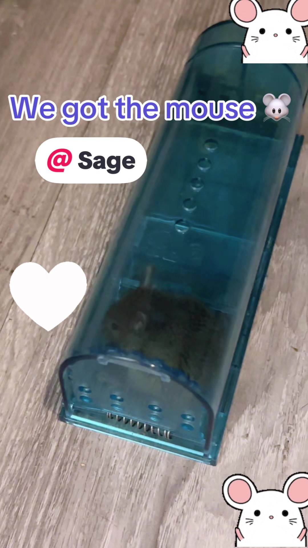 @Bunnytakesnotes1111