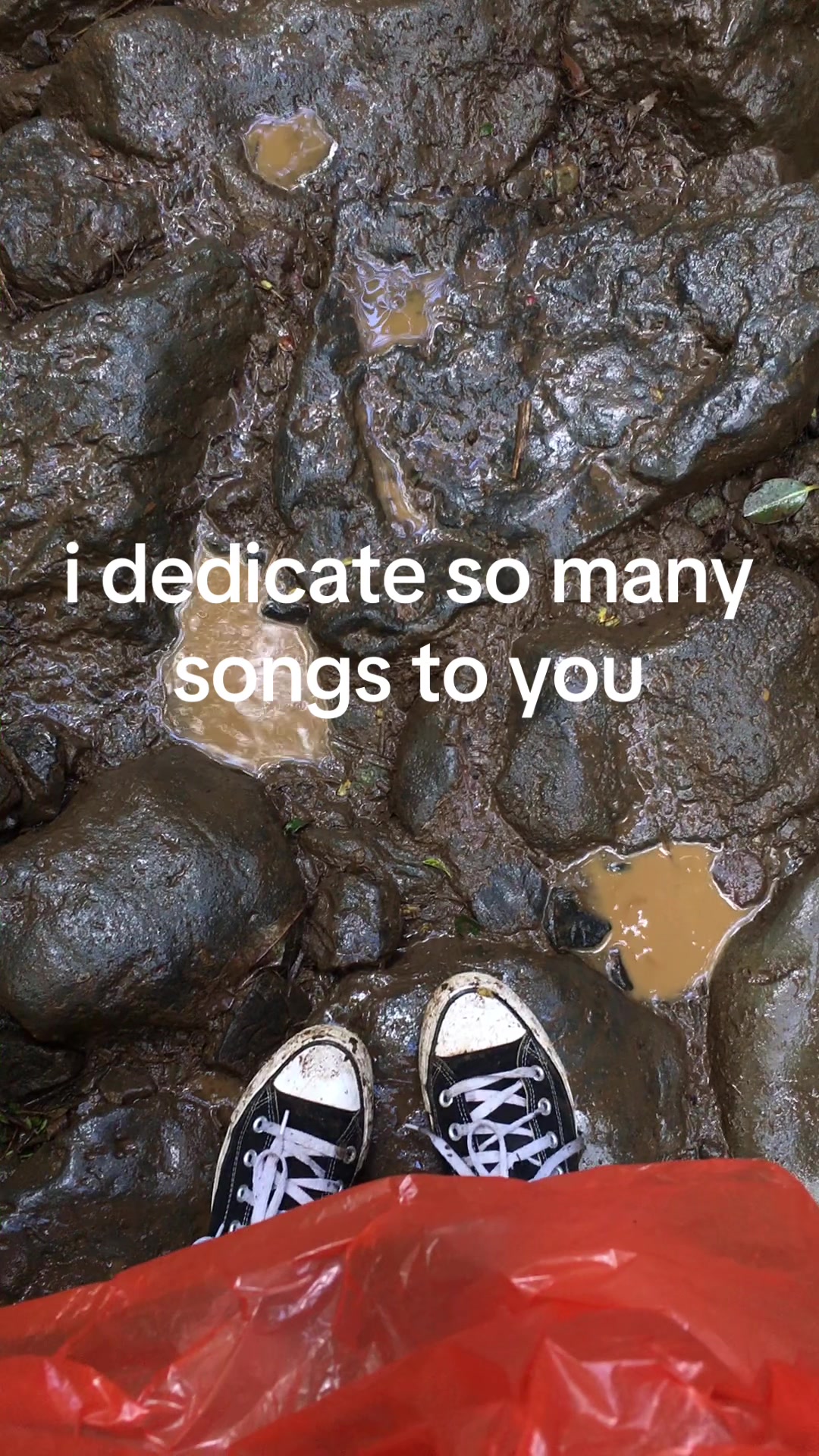 @kristina