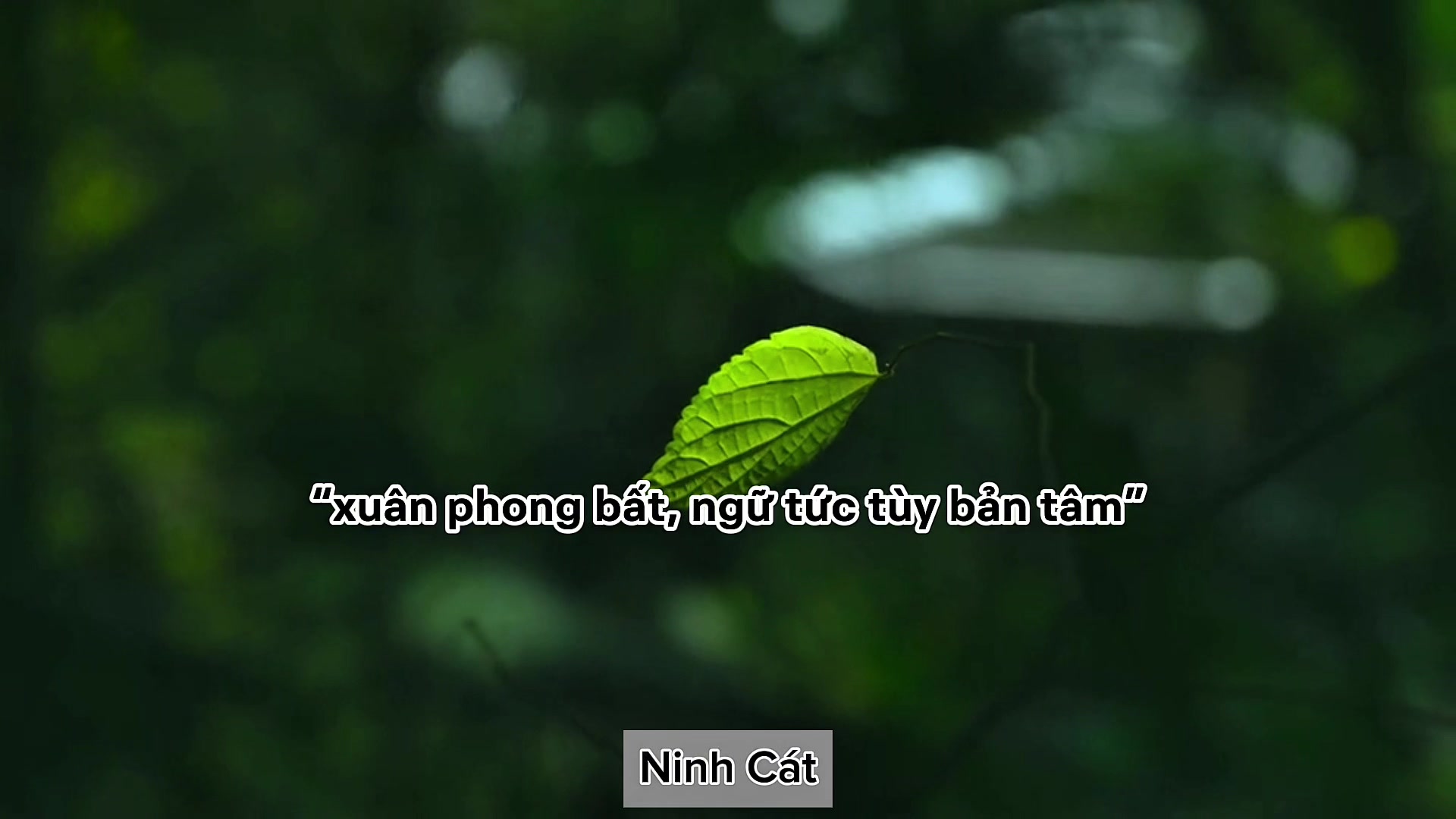 @Ninh Cát