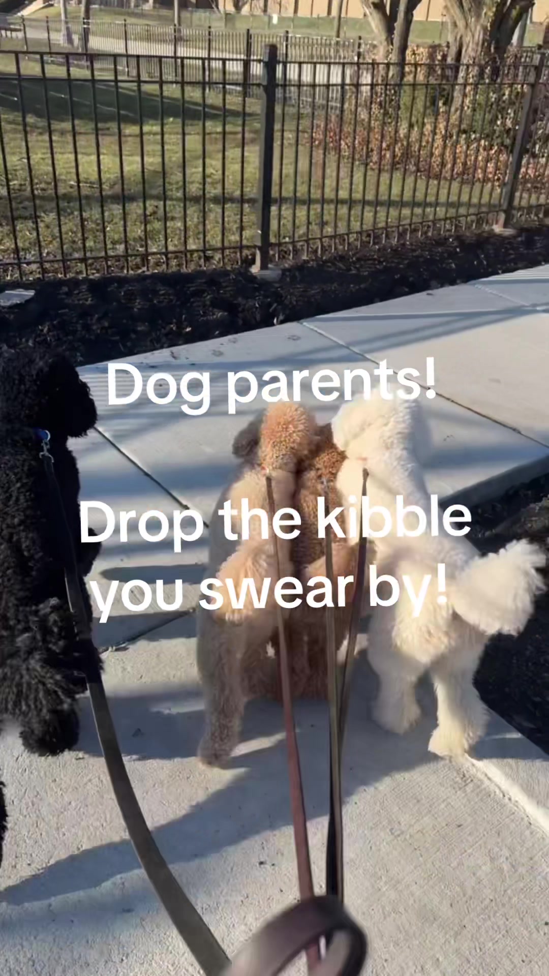 @packwalkdiaries