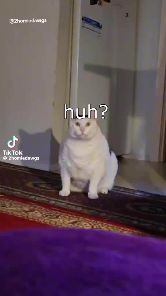 @RED THOUGHTS ๐๐คทโ๏ธ๐