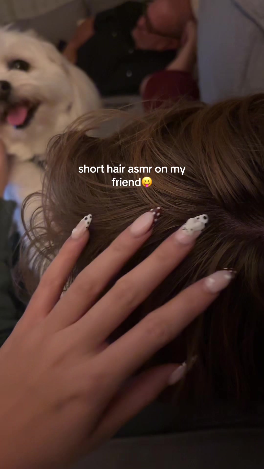 @asmr🧸