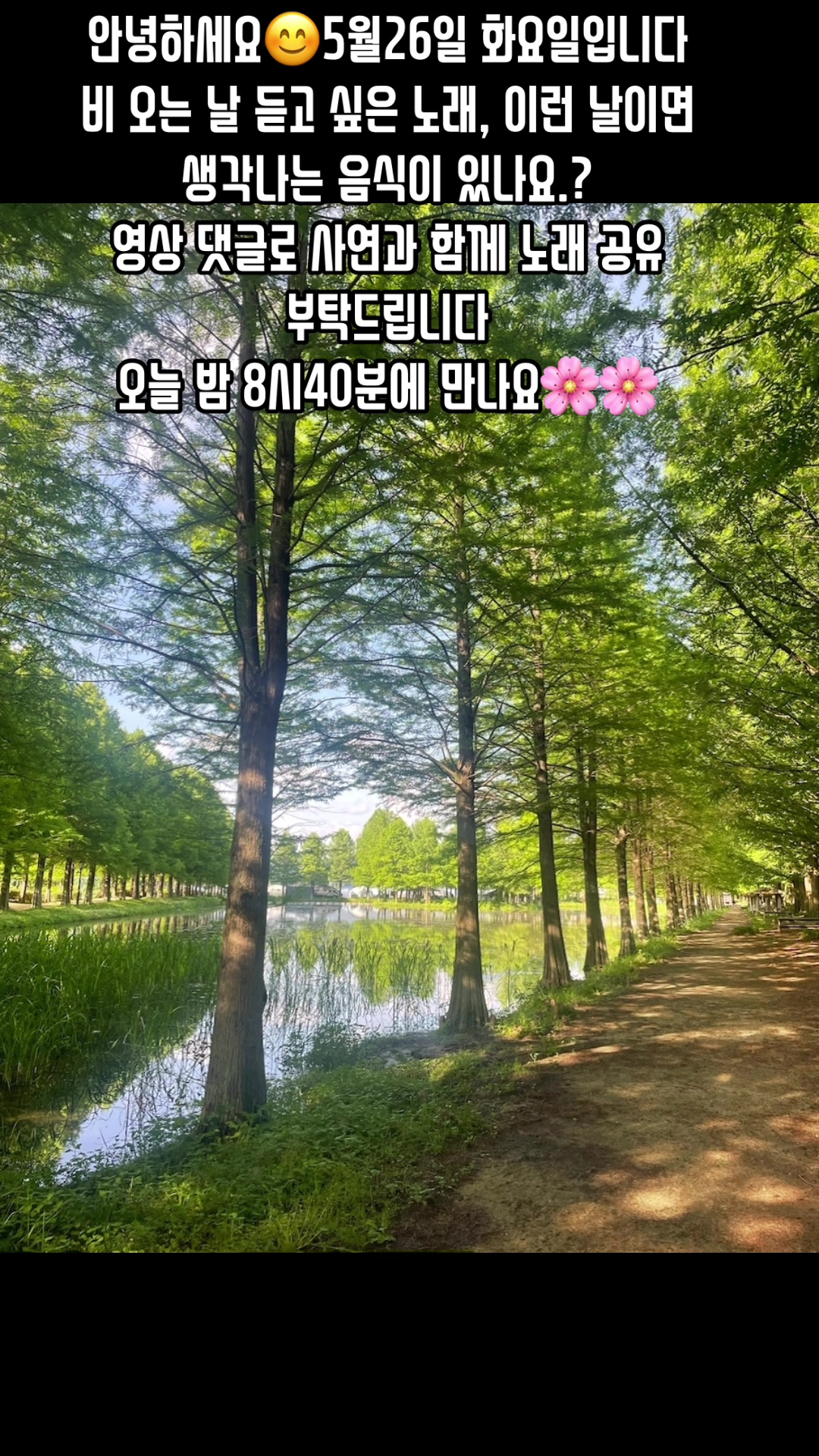 @🪴줄리애쉬