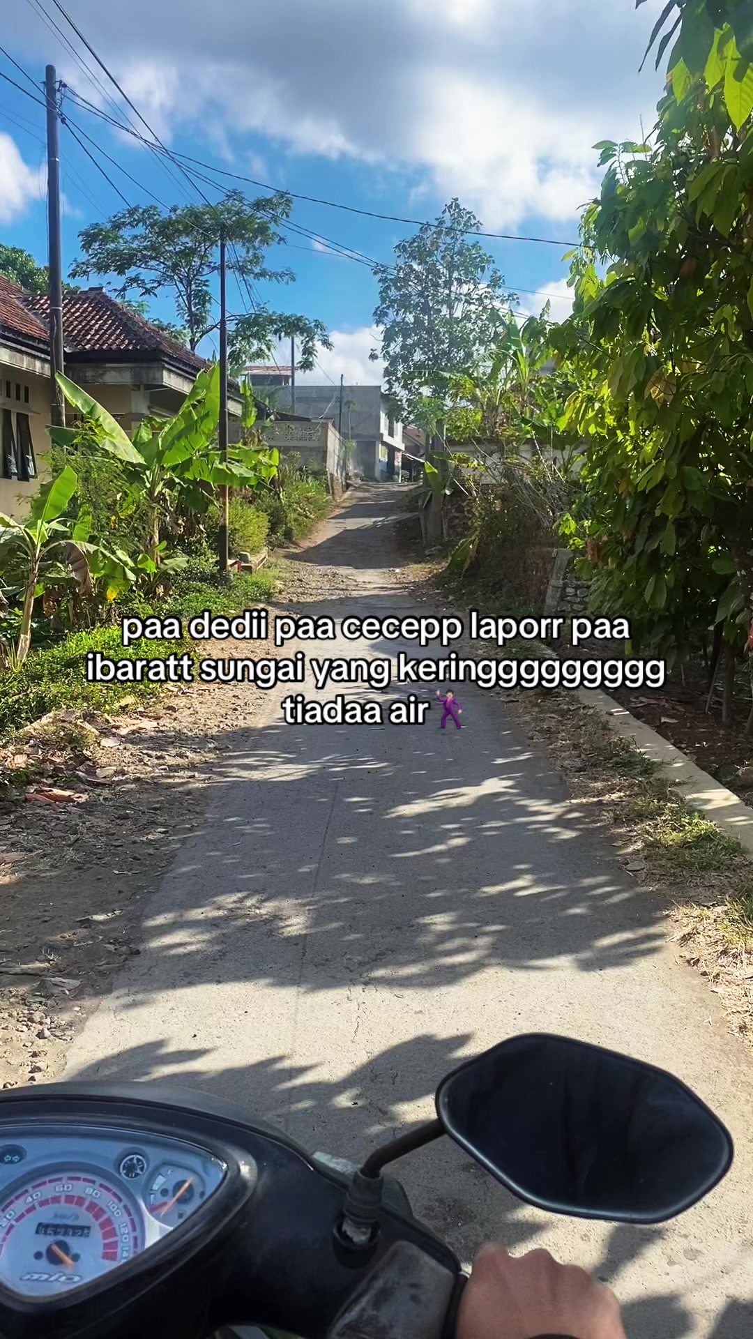 @yull