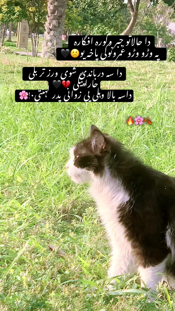 @ᗩᗷIᗪ ᴷᴴᴬᴺ🚬