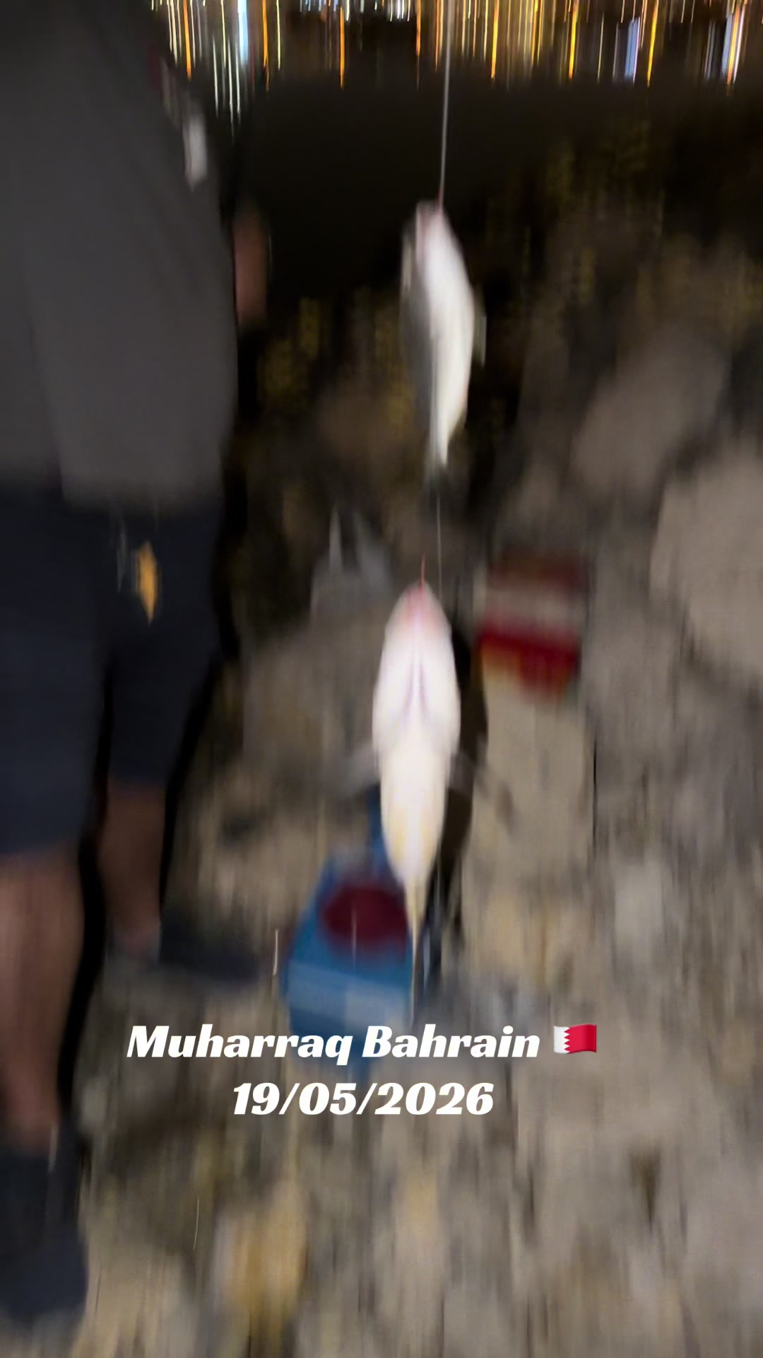 @🇧🇭Main Habib🇧🇭🇲🇫🇨🇭🇨🇱