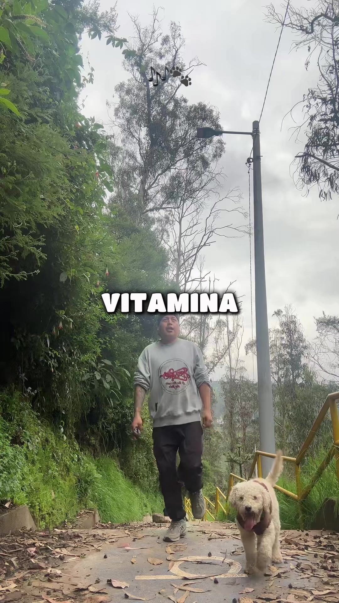 @Lumi.real