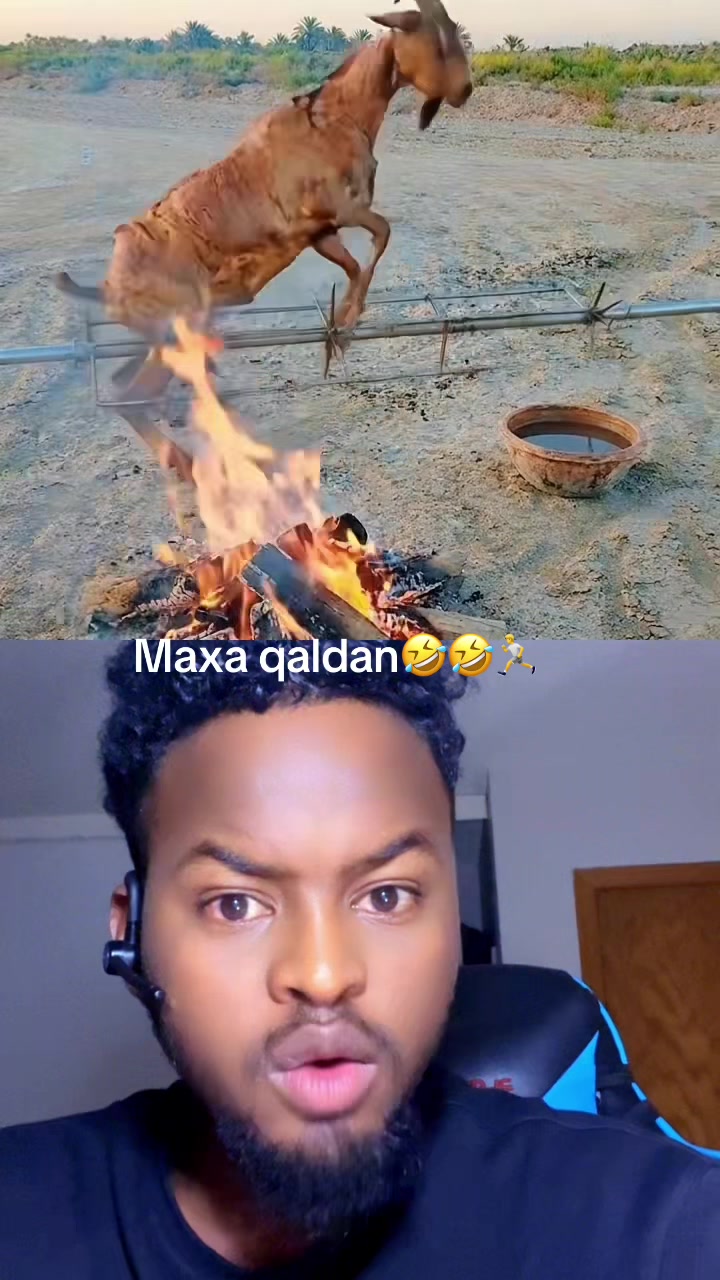 @abwanozil3✅❤️