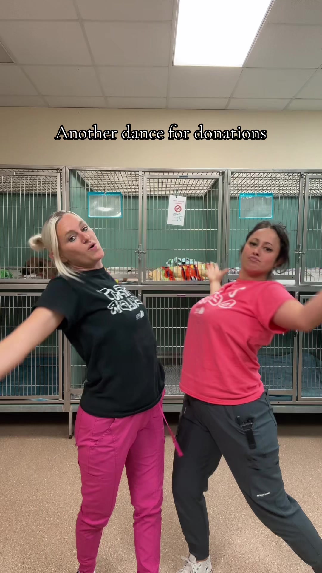 @2vettechs