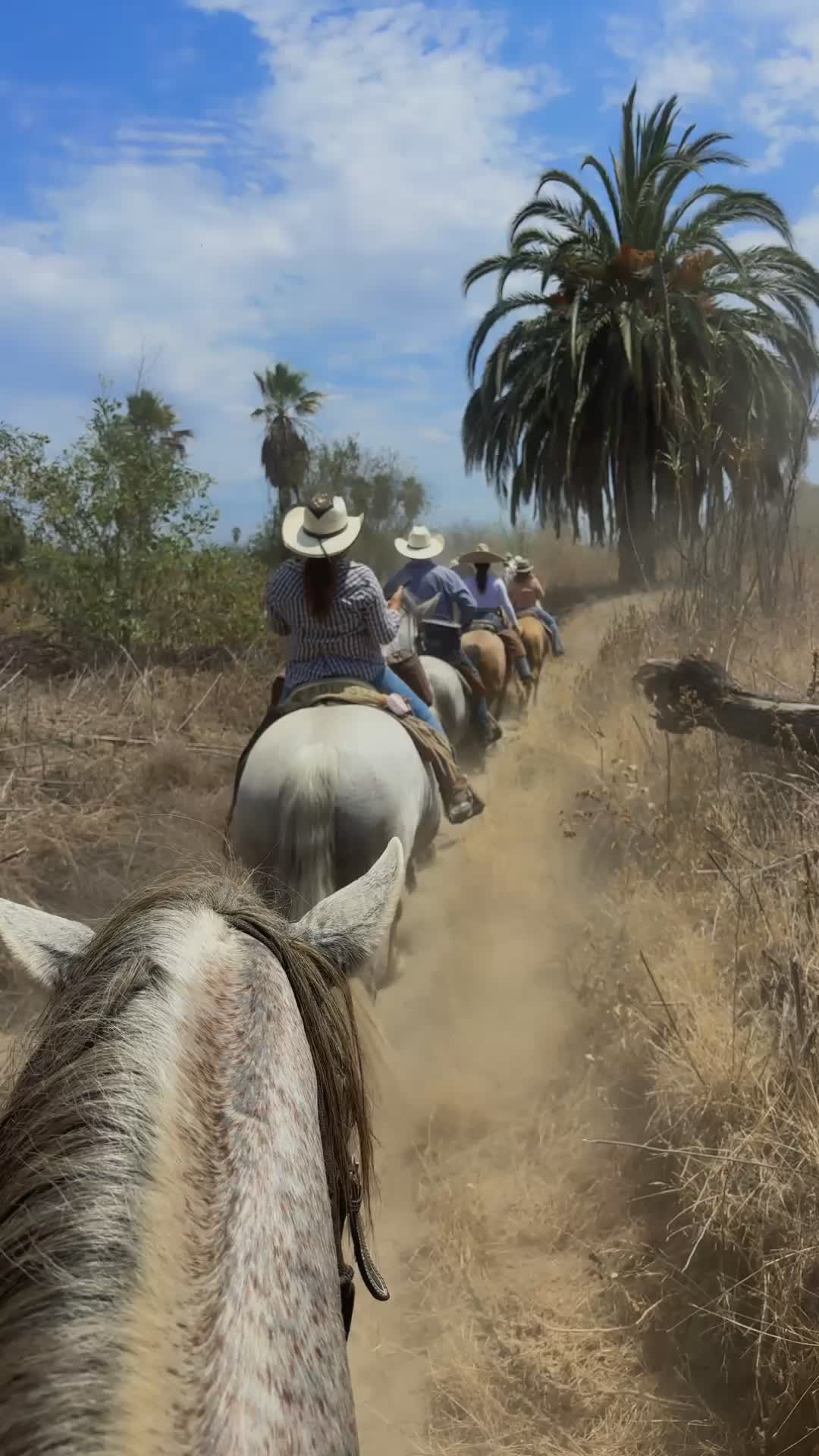 @Bella_o6🐴