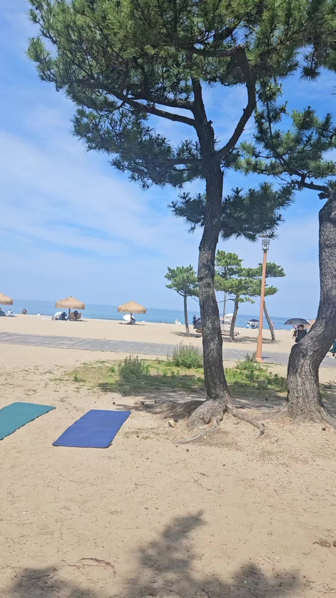 @뉴스녀
