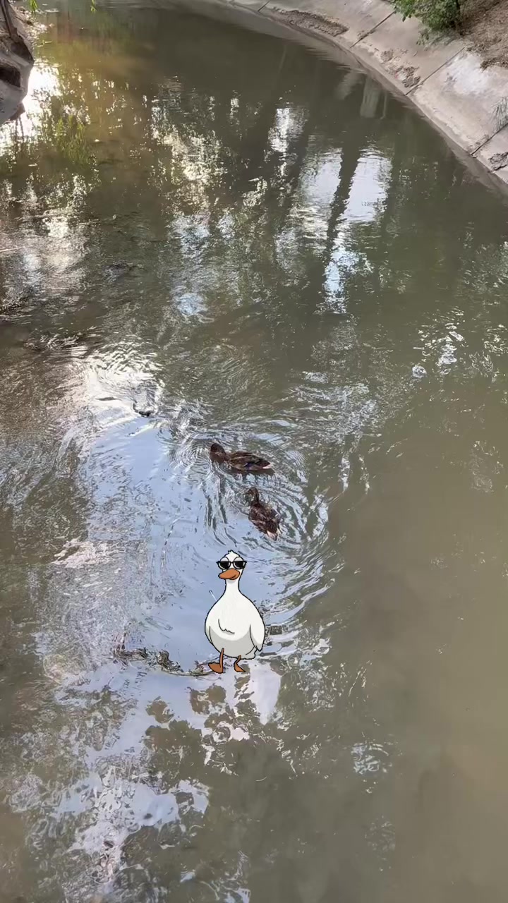 @Лаззат Жеруйық