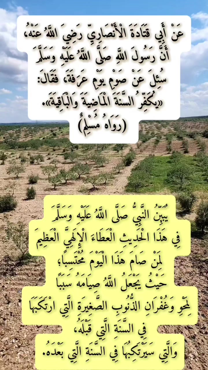 @مشكاة