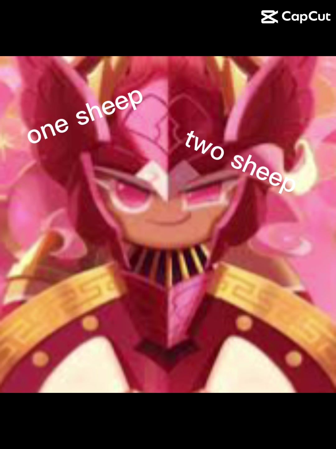 @Ginger and Rani