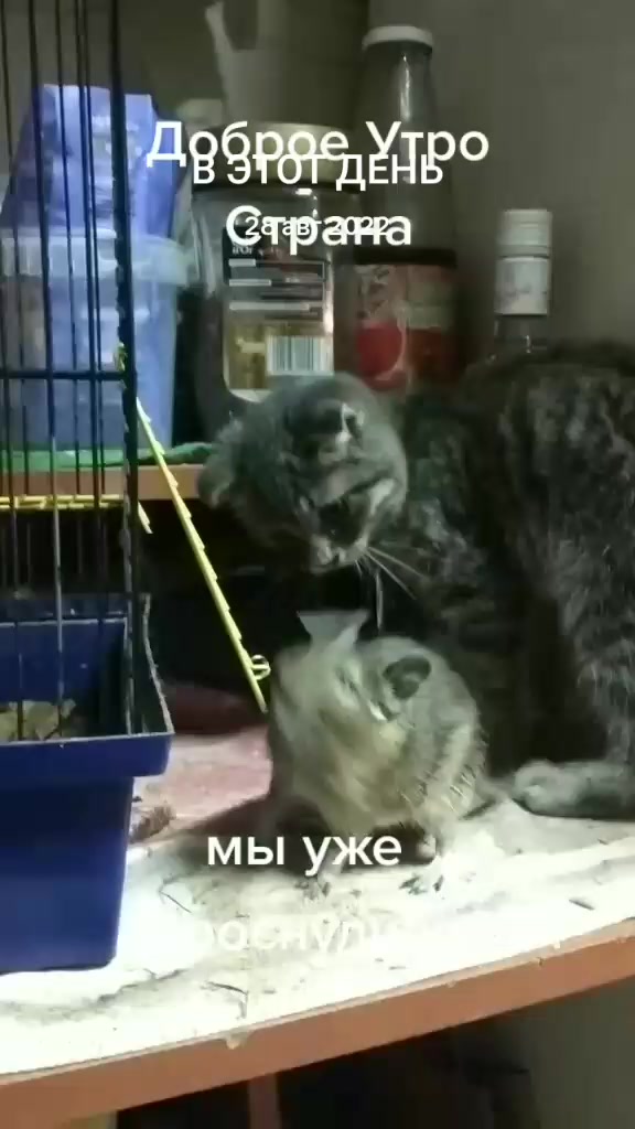 @Юрик