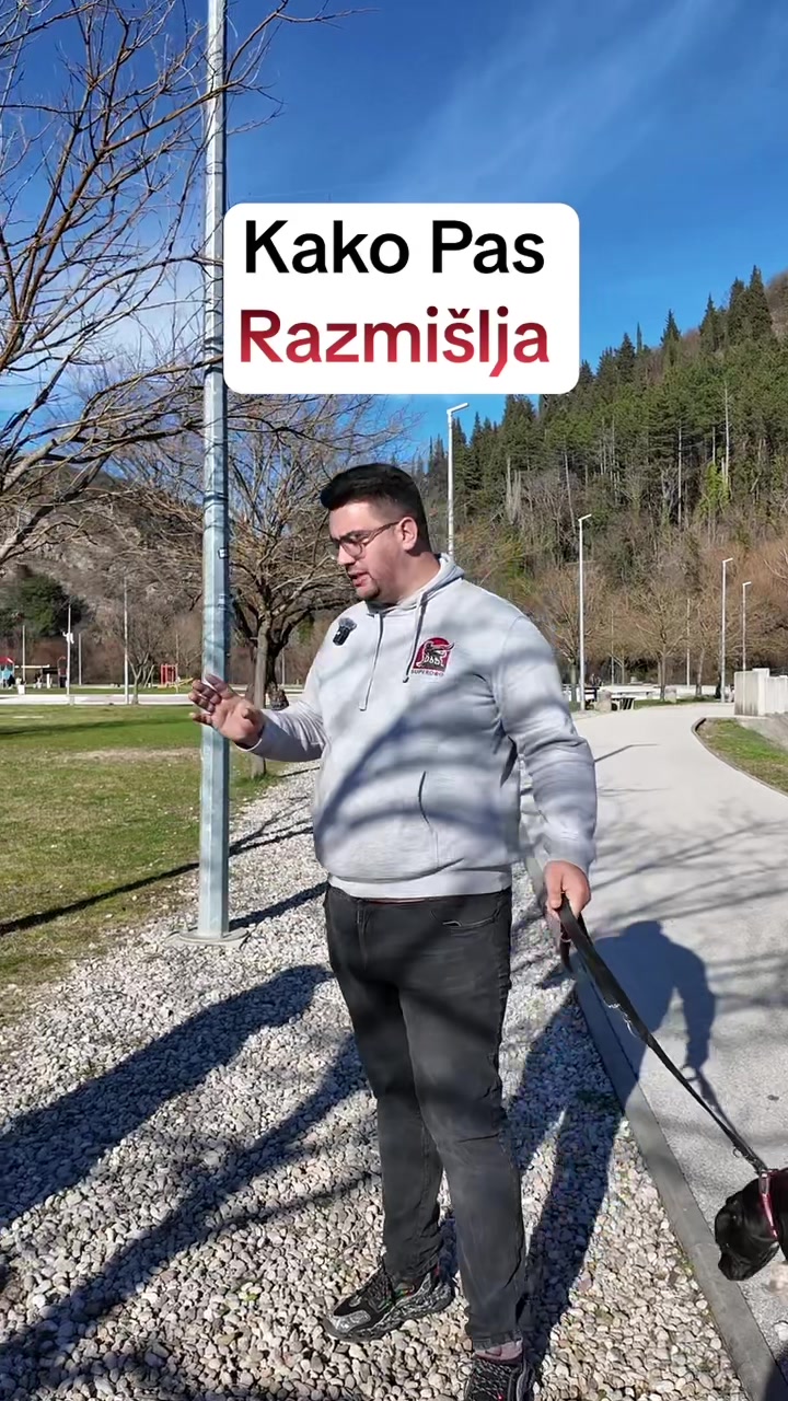 @superdog.akademija